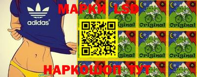 прущие грибы Канаш