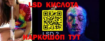 прущие грибы Канаш