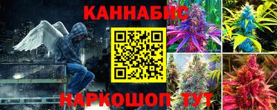 дживик Кандалакша