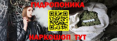 прущие грибы Канаш