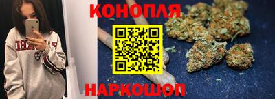 герыч Кингисепп