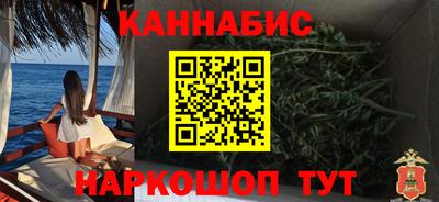 прущие грибы Канаш