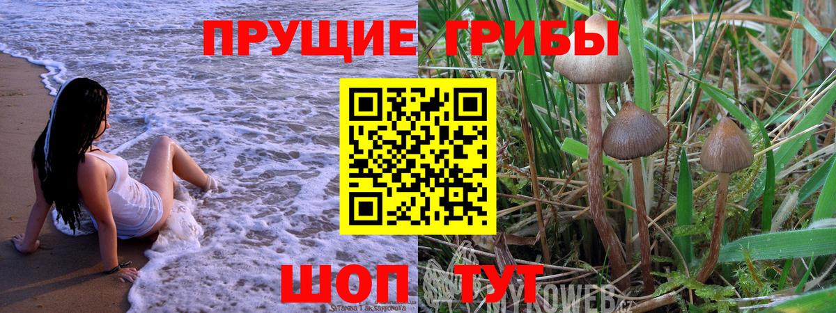 Псилоцибиновые грибы MAGIC MUSHROOMS Кубинка