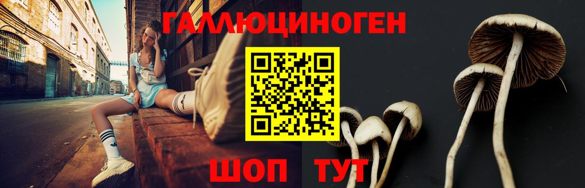 Псилоцибиновые грибы мицелий  Вход с VPN  Кубинка  Галлюциногенные грибы ЛСД 